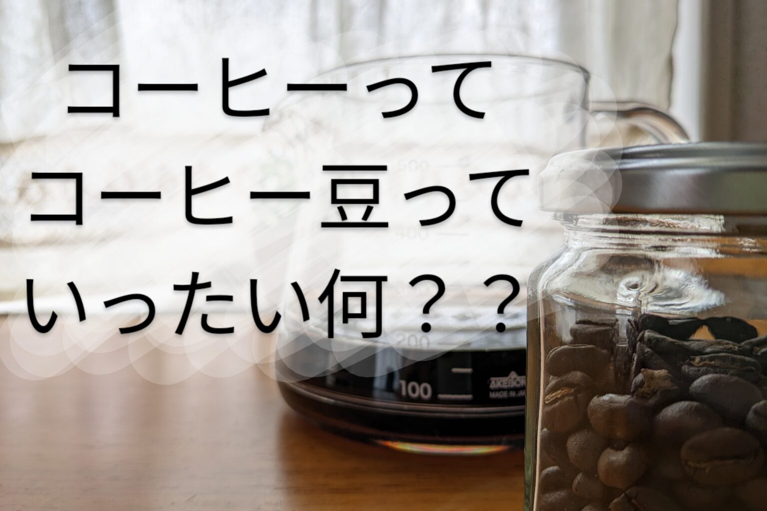 コーヒーってコーヒー豆っていったい何？